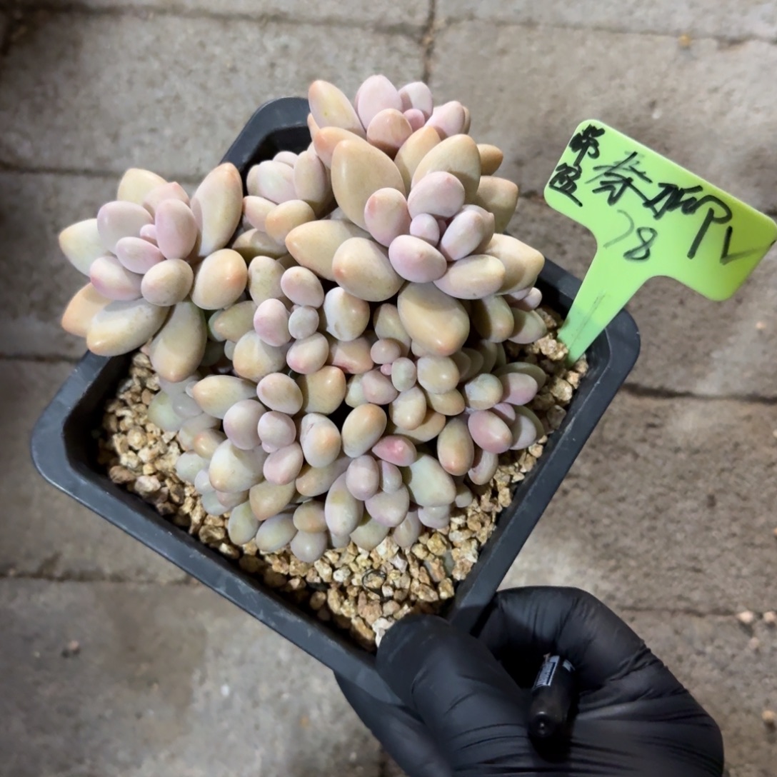 秦***聊111111111111111111111111