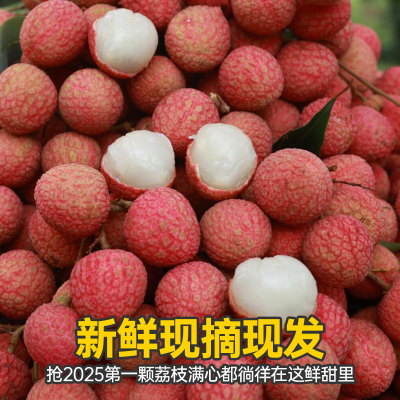 礼盒 【头茬高州白糖罂荔枝】20+果子鲜现摘脆甜多汁当季新鲜荔枝