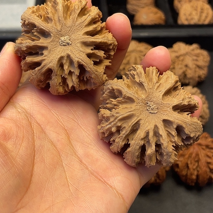 我***z文玩核桃吊坠秦岭突突突突突突突突