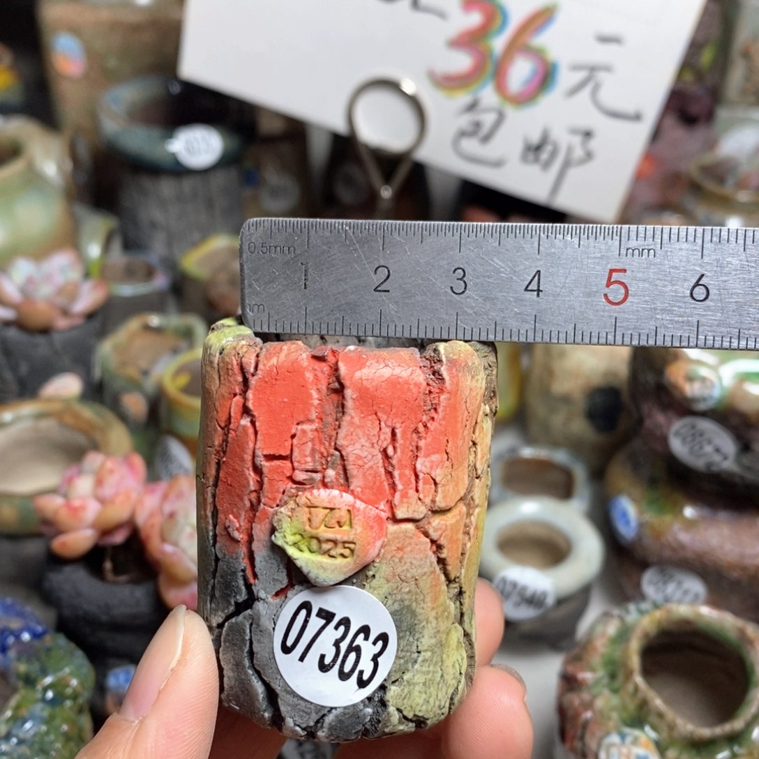 花盆拍3送一个小礼物