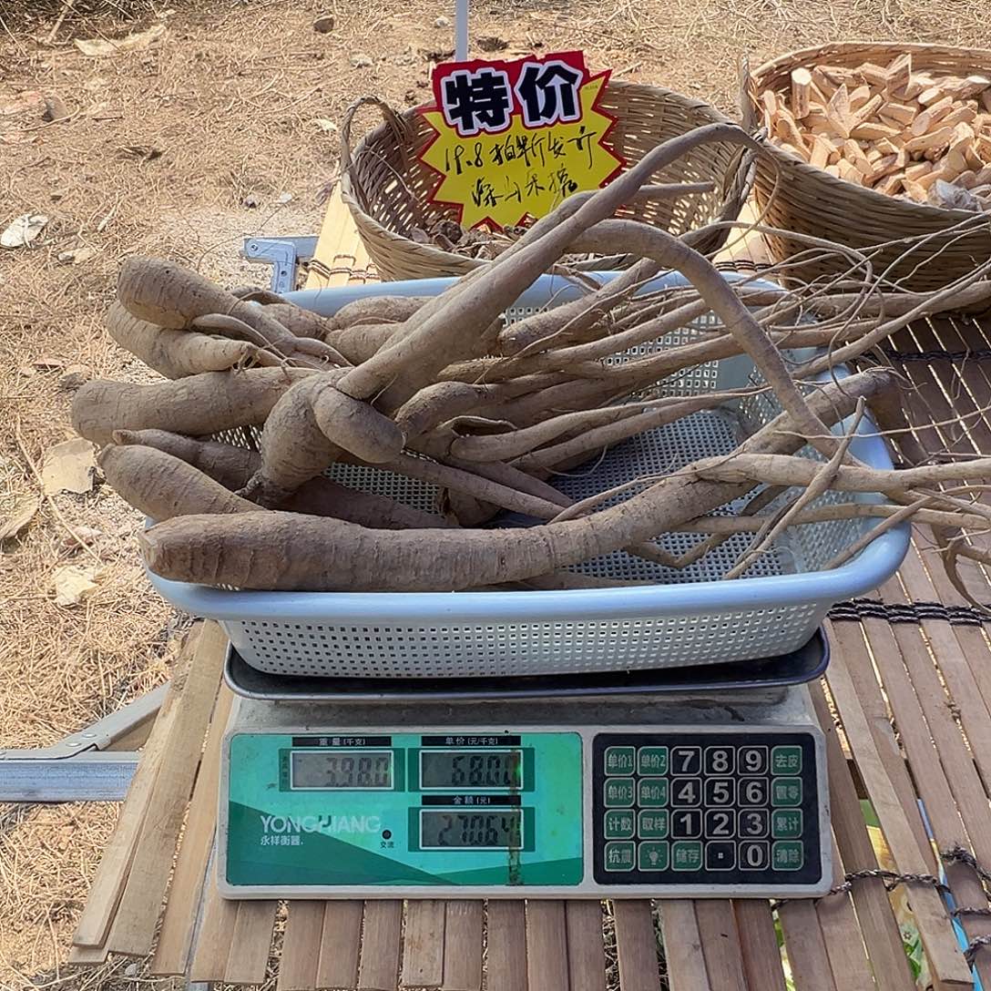 中国大陆甘草牛泡酒煲汤