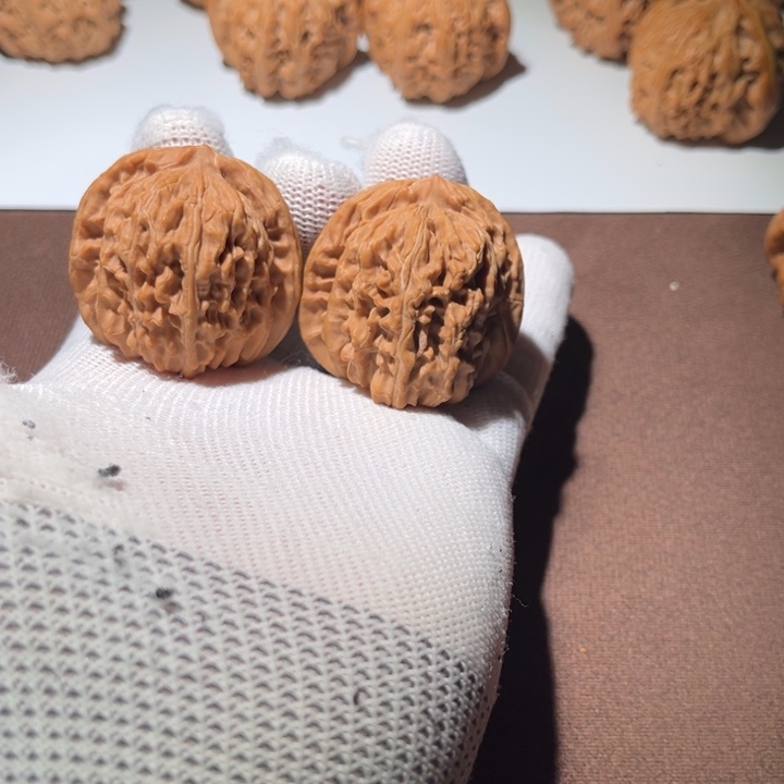 肉***芸精品四座楼39尺寸