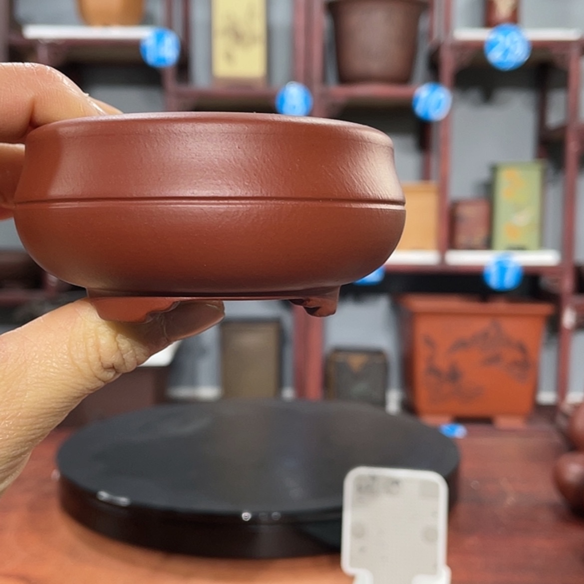 【闪购商品】紫砂花盆紫砂花盆