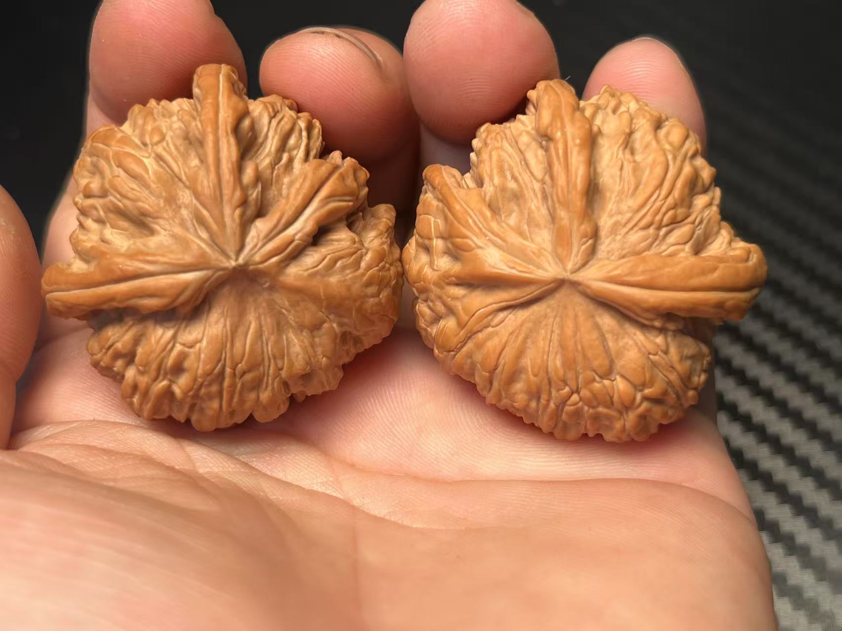 白狮子茶壶龙首.全品无修.天然异形.独特完美