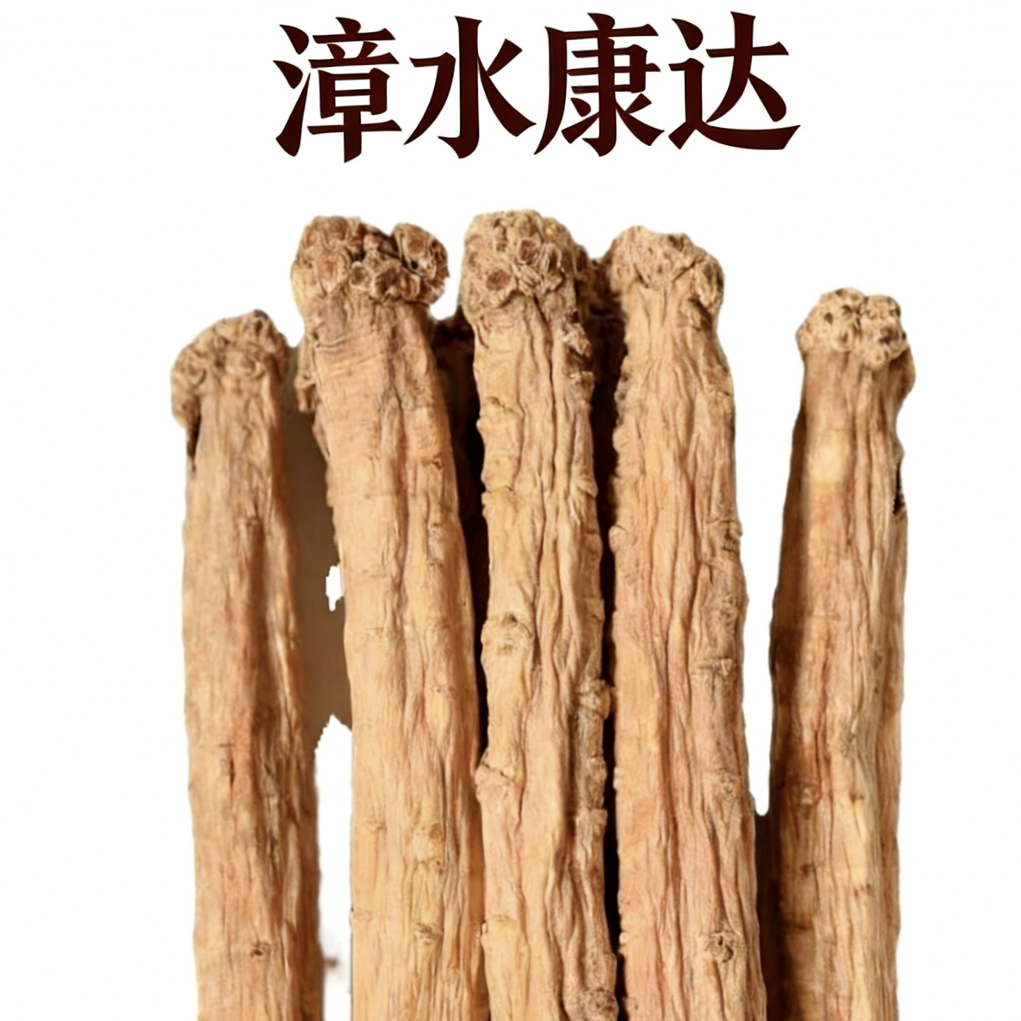 甘肃岷县原产地鲜党参条选种植党参煲汤干党参段黄芪当归