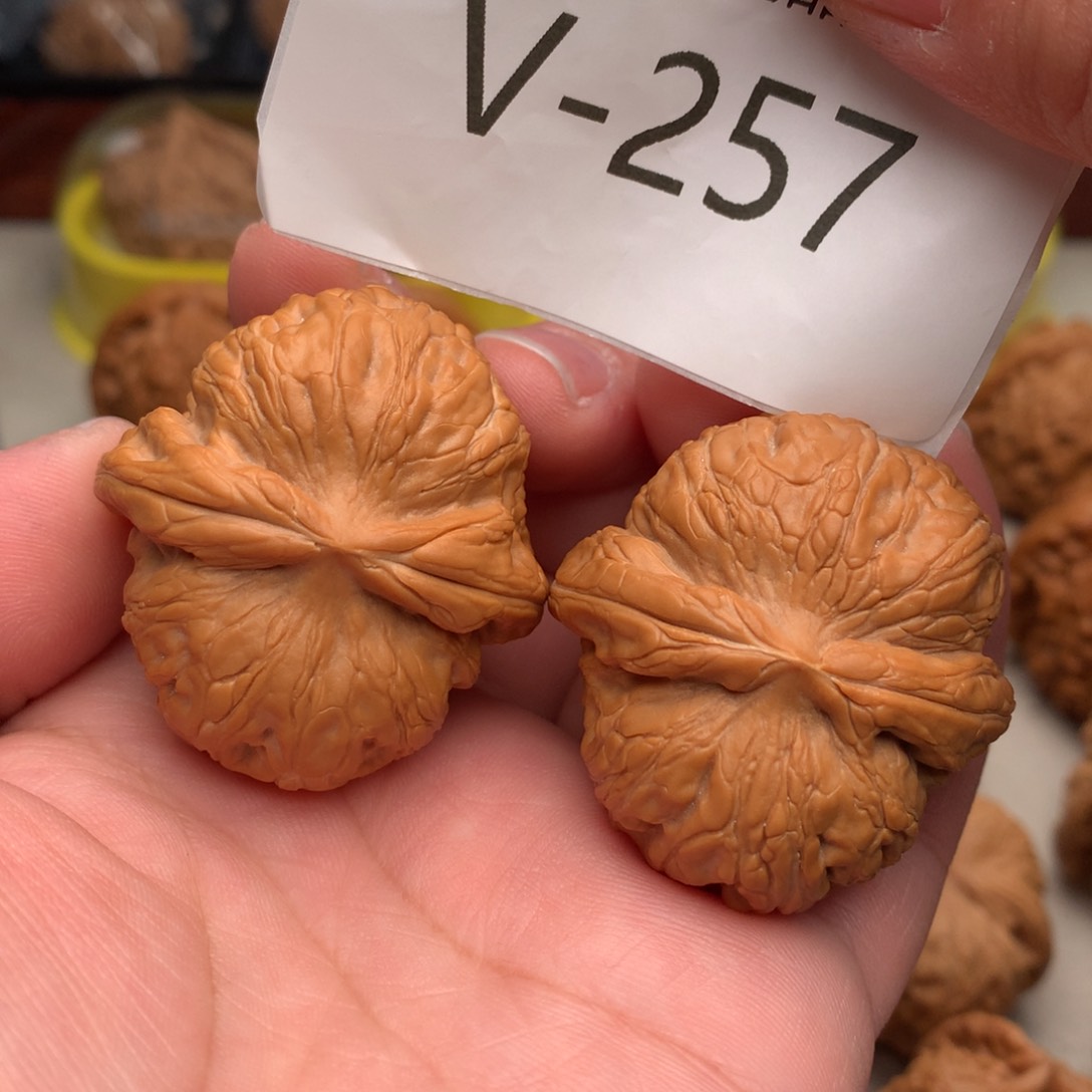 文玩核桃把件41元宝…………