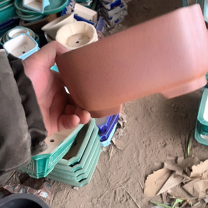 紫砂没有你喜欢吃辣不喜欢