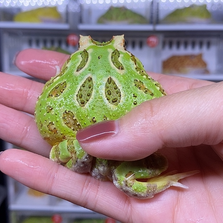 特价秒杀现货供应