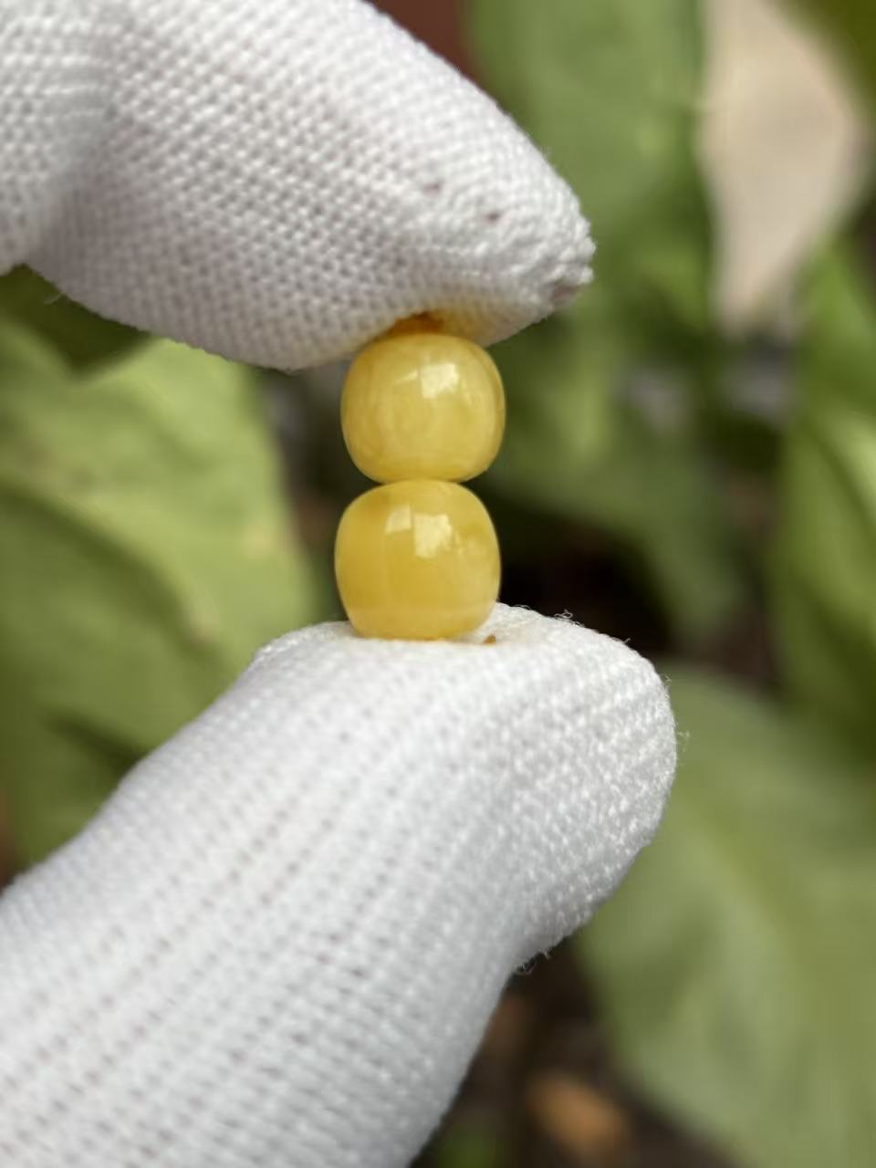 3736天然蜜蜡琥珀老型墩子7.9x7.5mm