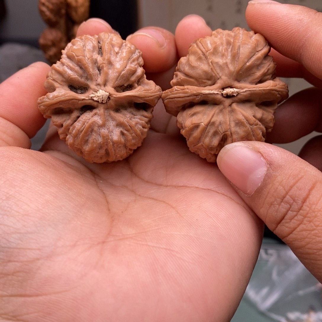 文玩核桃把件37金钱豹