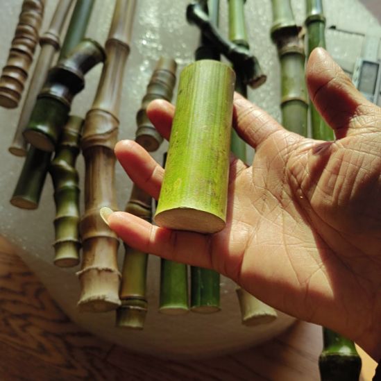 M***G三三四四三三四四是