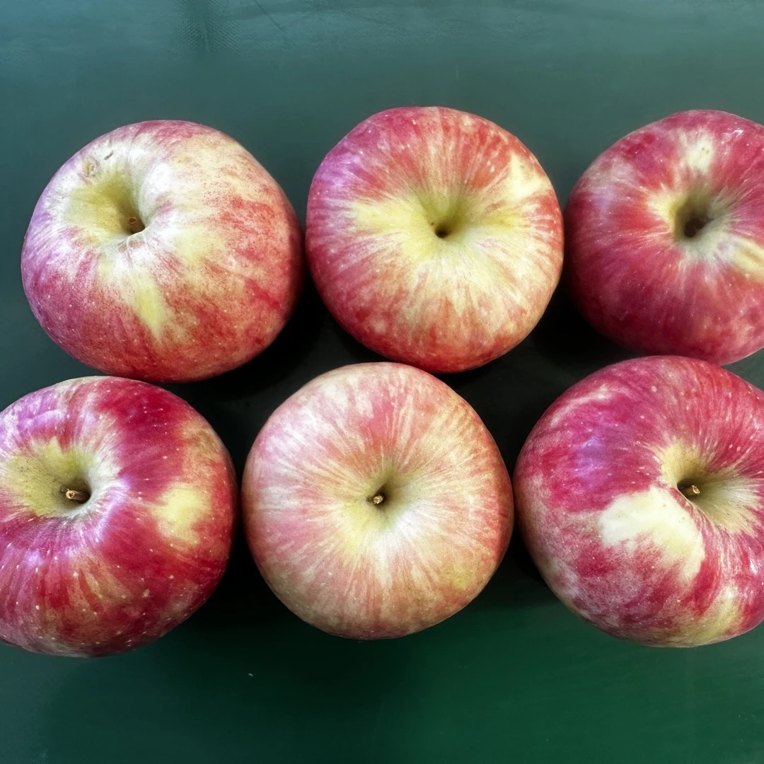 陕西旬邑正宗秦脆苹果中果净重9.5斤脆爽酸甜皮薄汁多