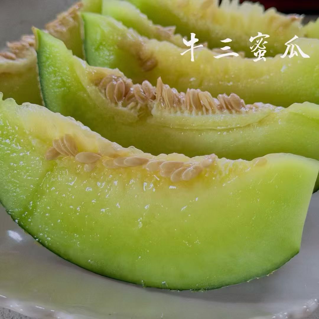 正宗当季海南牛三蜜瓜