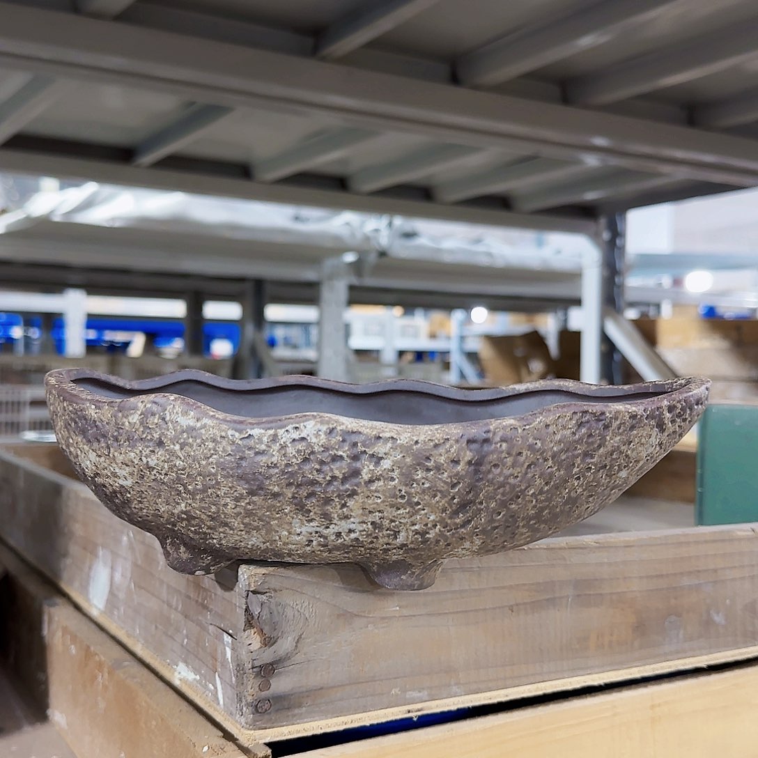 陶瓷花盆特价上新