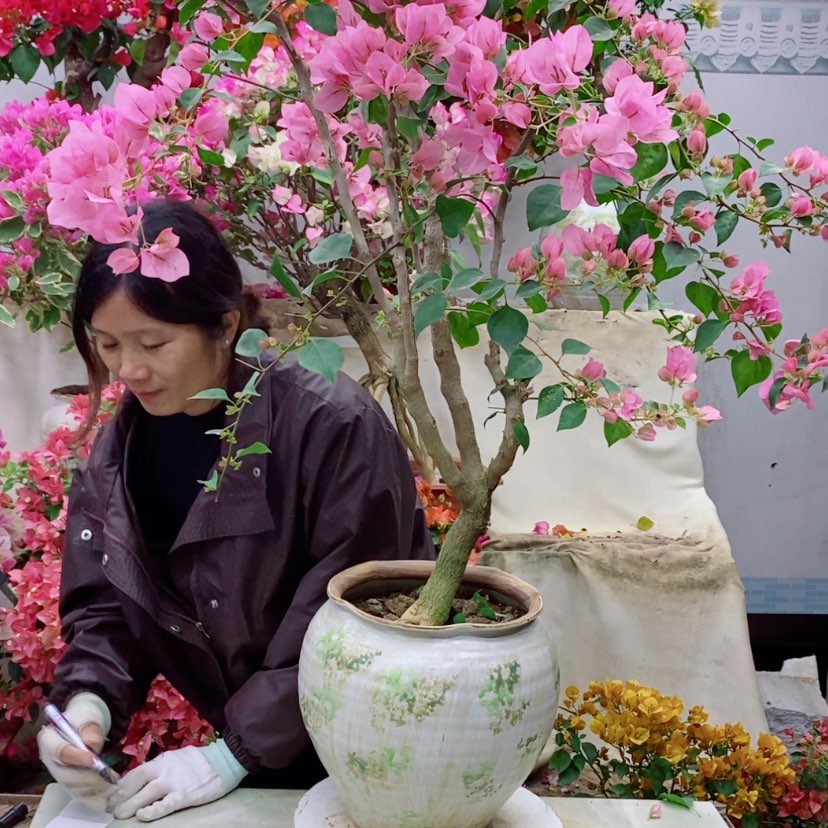 【闪购商品】完全开放