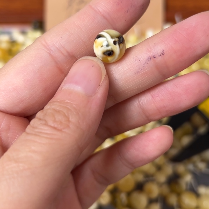 蜜蜡未镶嵌裸石10.6mm一个