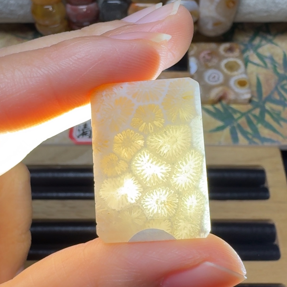 硅化玉未镶嵌闪闪的白色枫叶，灯美人