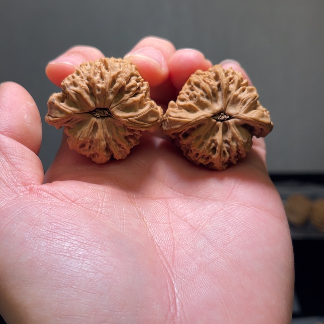 文玩核桃把件睡****学南疆