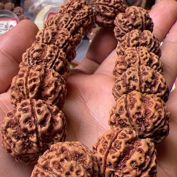 金刚菩提手串财****。23➕梁梅花