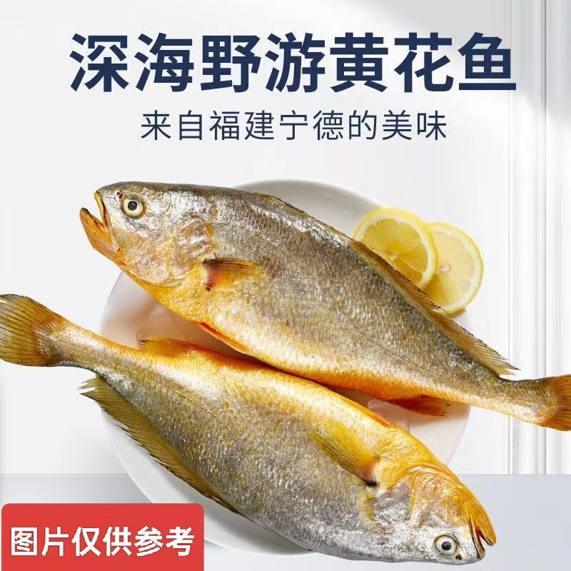 三哥海捕【JD包邮】新鲜速冻黄花鱼独立包装 肉厚鲜美 单条6-7两