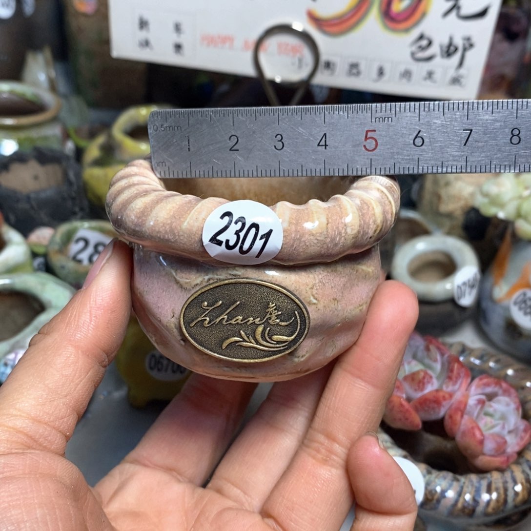 特价花盆拍5送一个小礼物