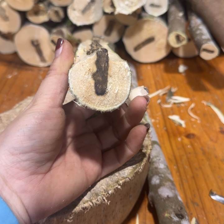 远***帆香粉棋楠黑棋品种