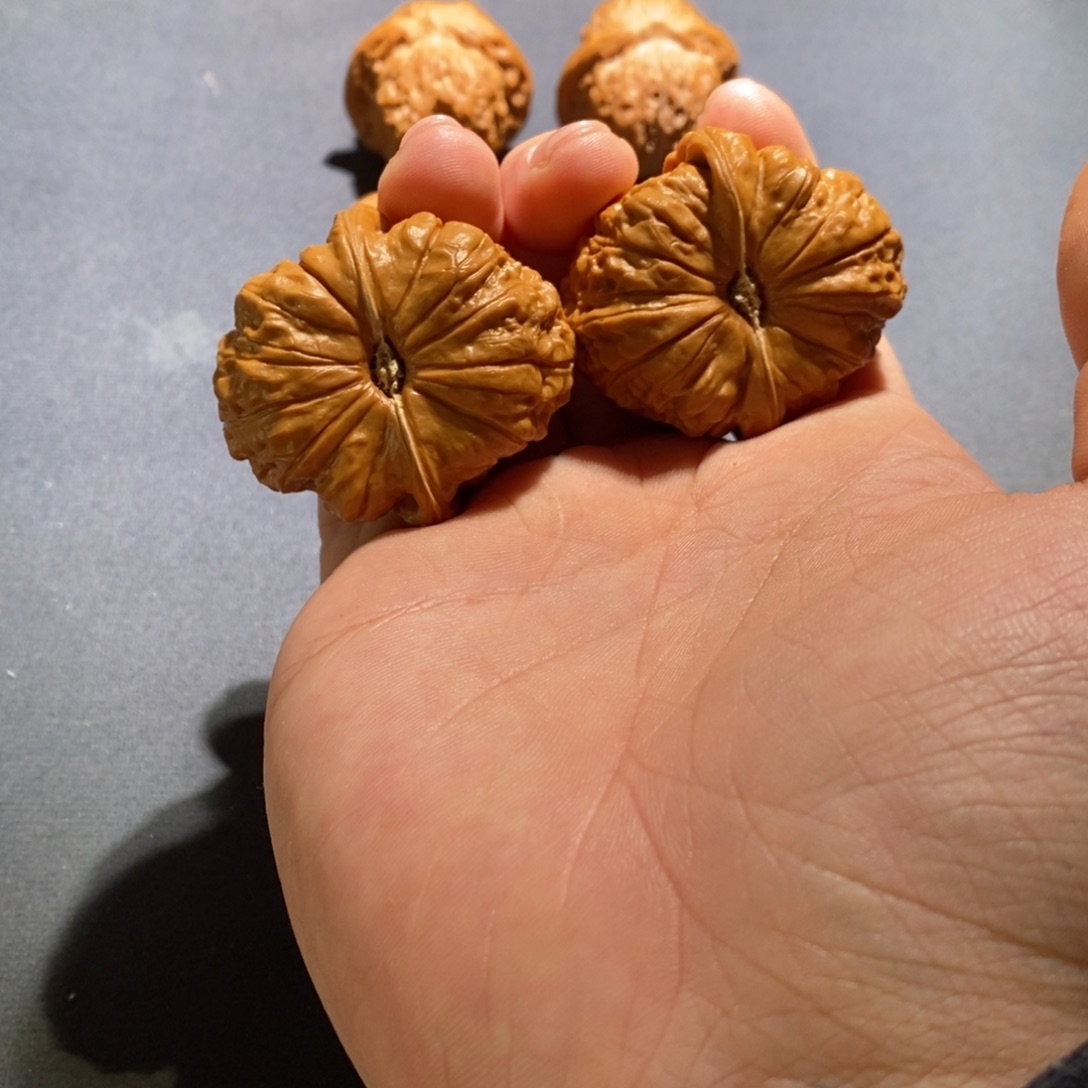 文玩核桃吊坠41南瓜墩
