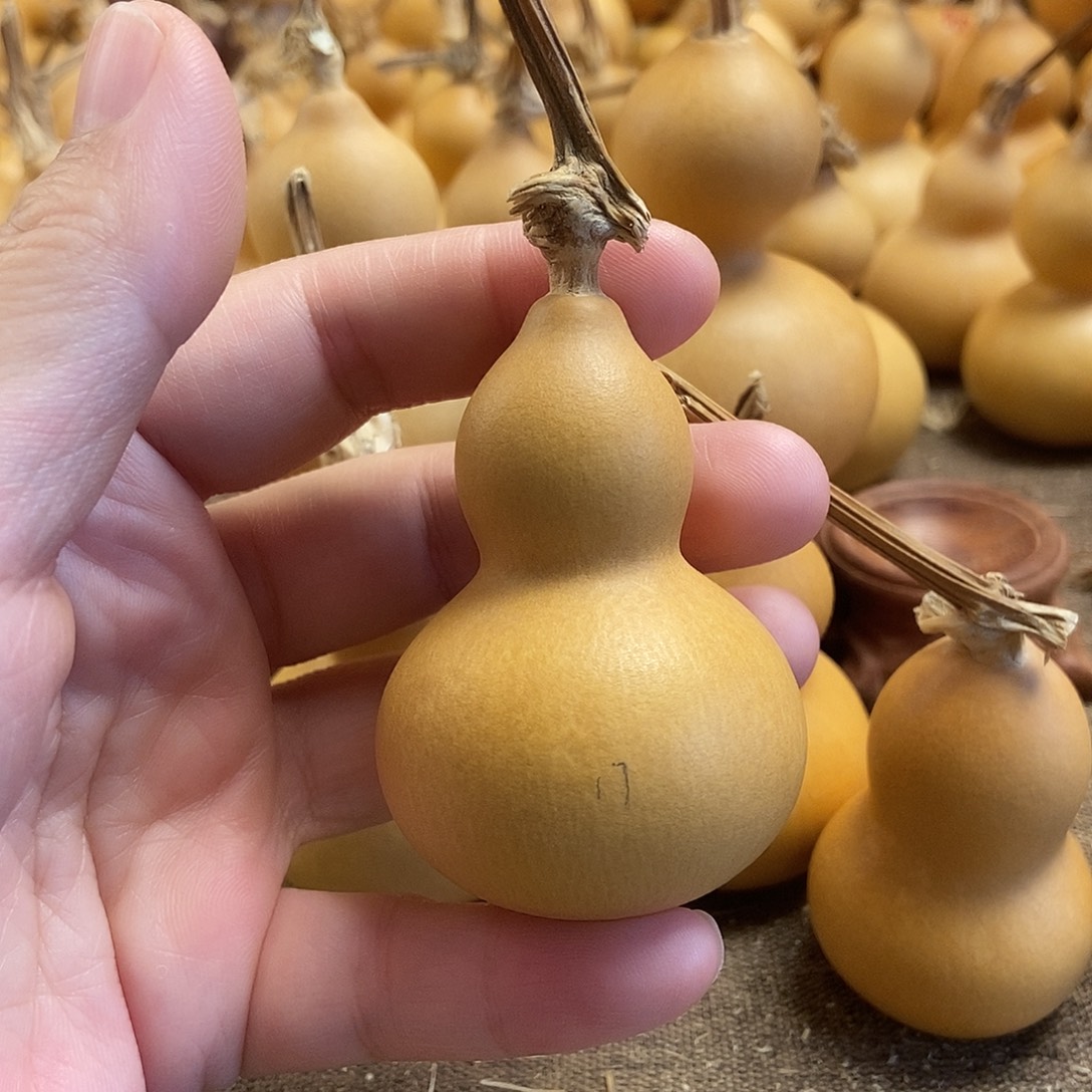 文玩葫芦 完美主义者 慎拍17