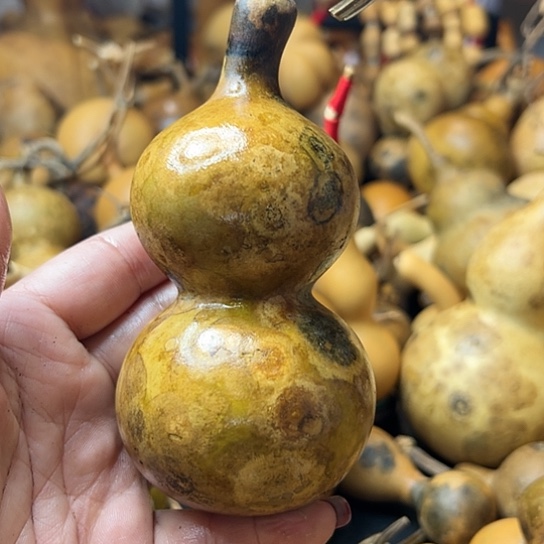 金****E葫芦葫芦葫芦葫芦