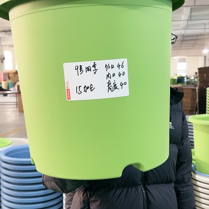 特价9号四季口46高40果绿无托2只