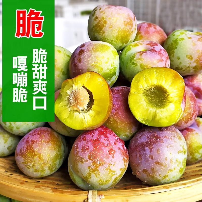【送货上门】四川半边红脆李大果 新鲜 当季水果整盒2.5斤左右