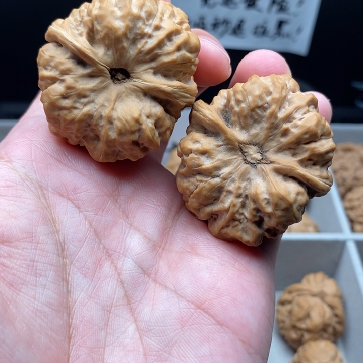 文玩核桃把件h****6蛤蟆