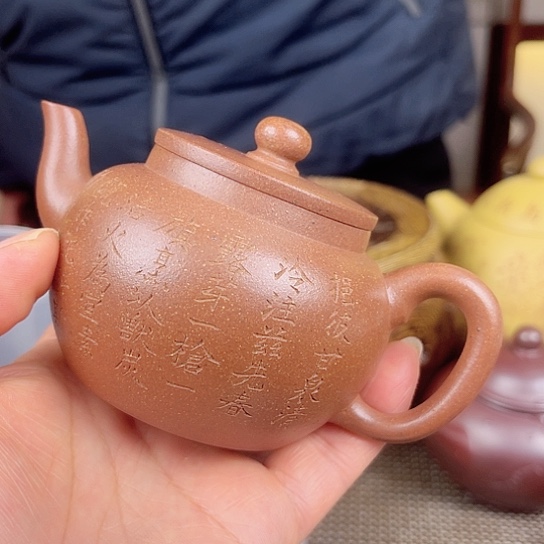 紫砂茶壶今天不知道