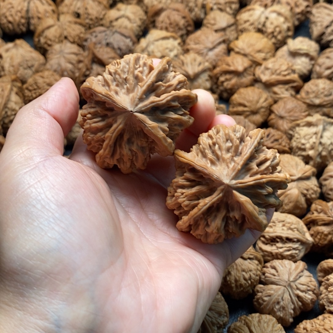 文玩核桃把件47帝王五棱