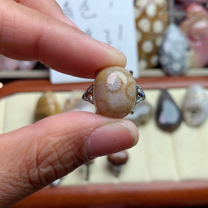 硅化珊瑚（珊瑚玉）颈饰未镶嵌