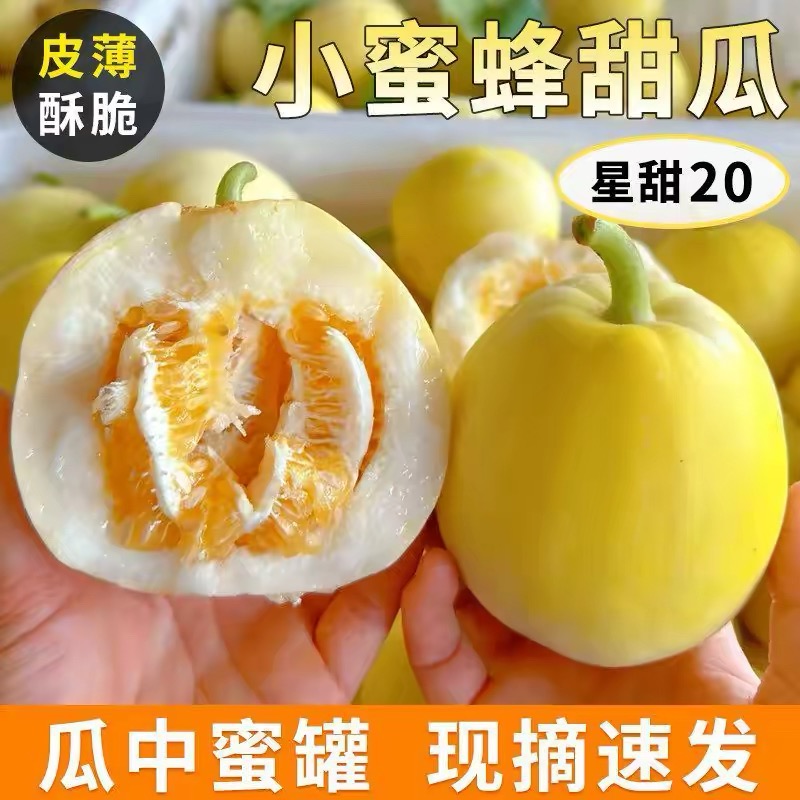 山东头茬新鲜小蜜蜂甜瓜香甜现摘小蜜罐香瓜山东当季水果