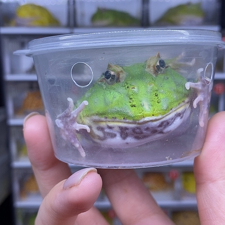 特价秒杀现货供应