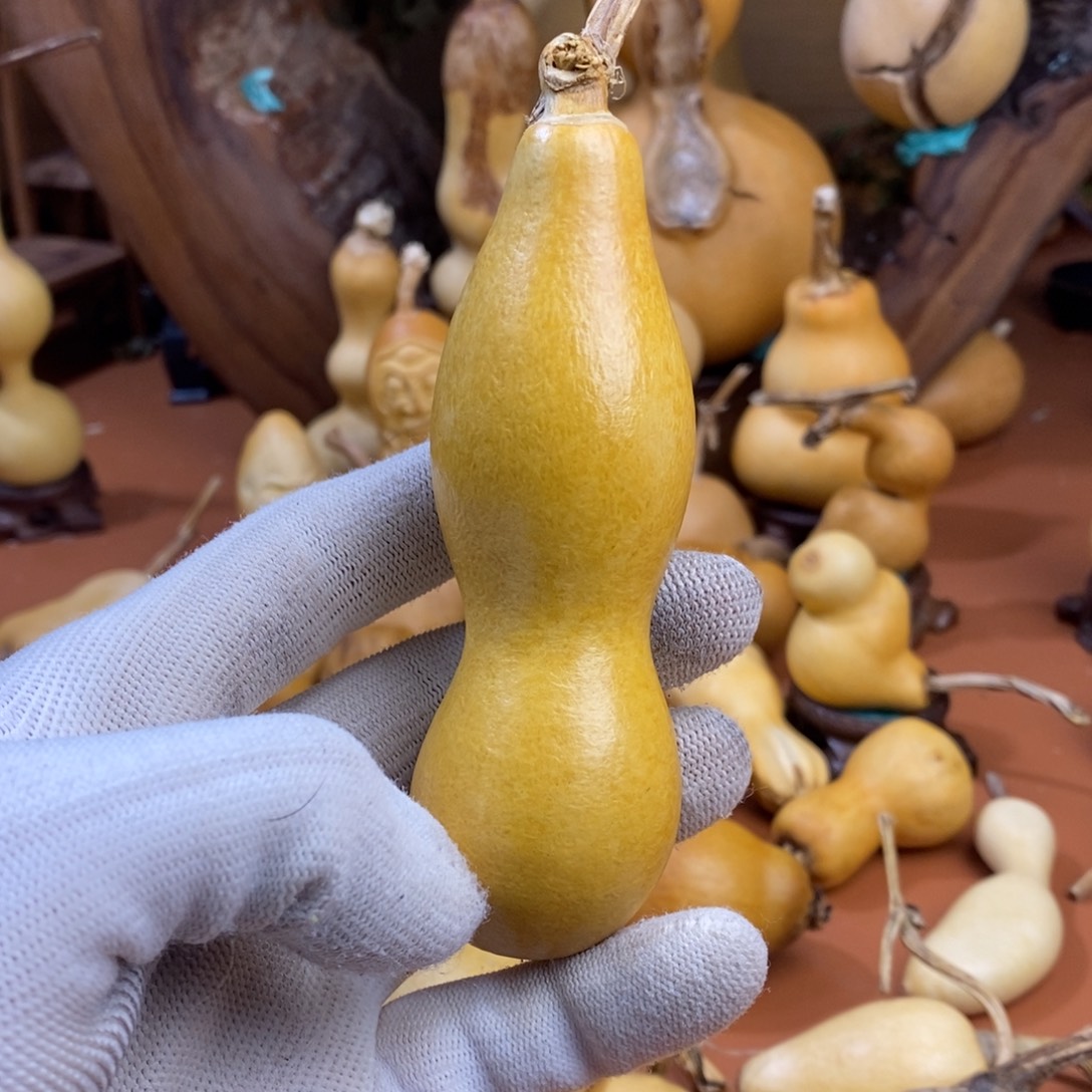 大***鹰桂林教练咯哦哦哦哦哦