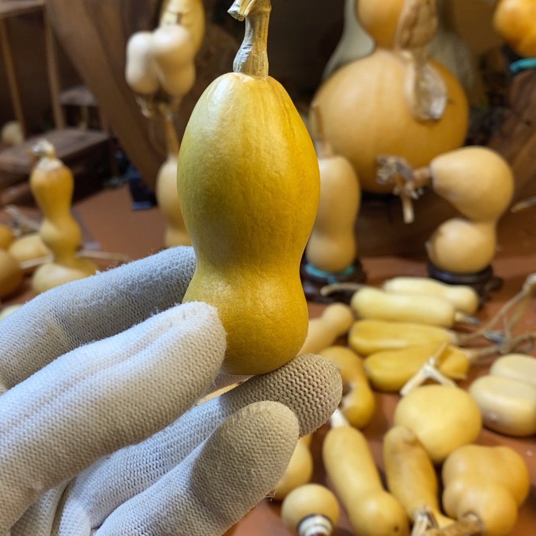 珠***教练教练教练教练啦