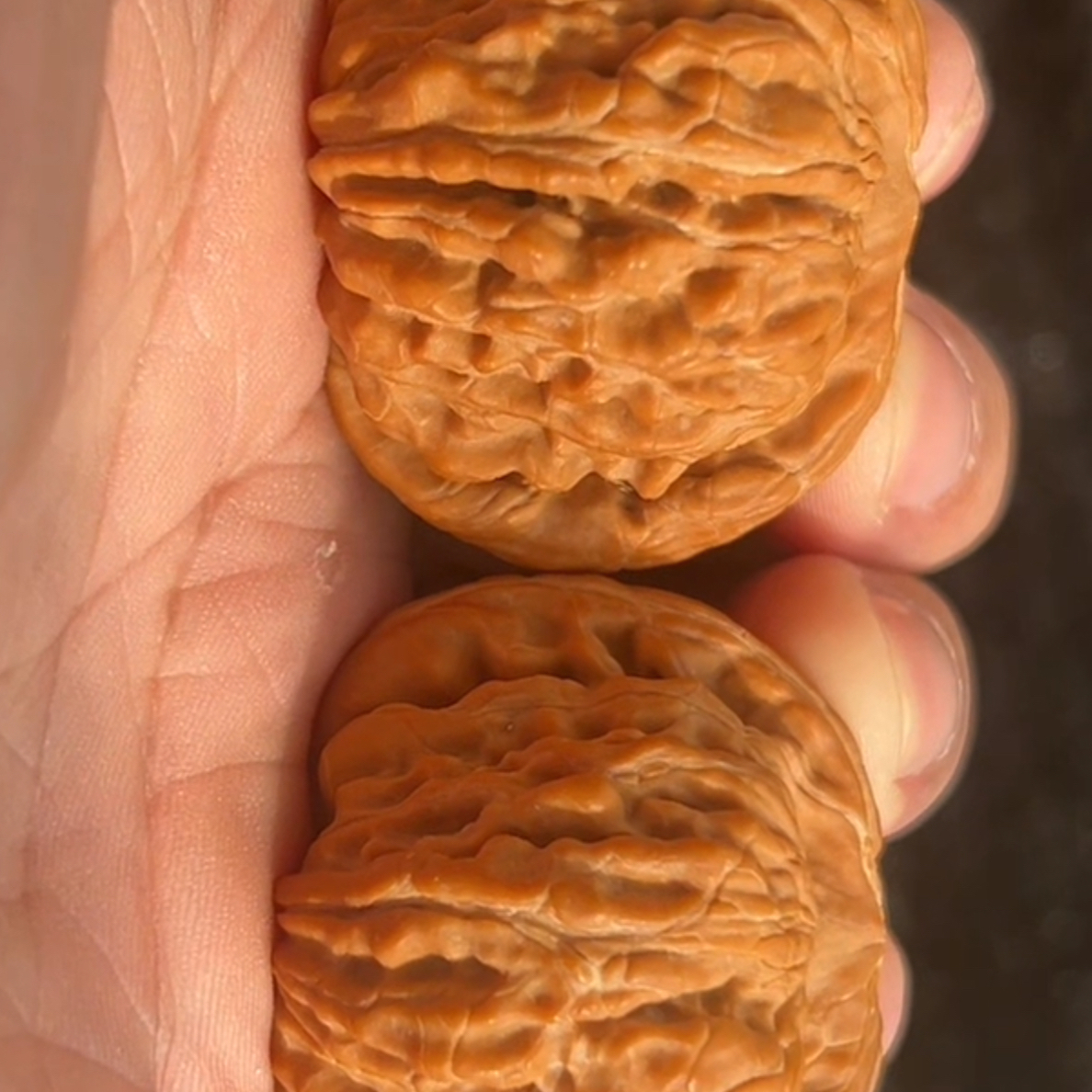 全品，44尺寸汉高楼，闪购链接