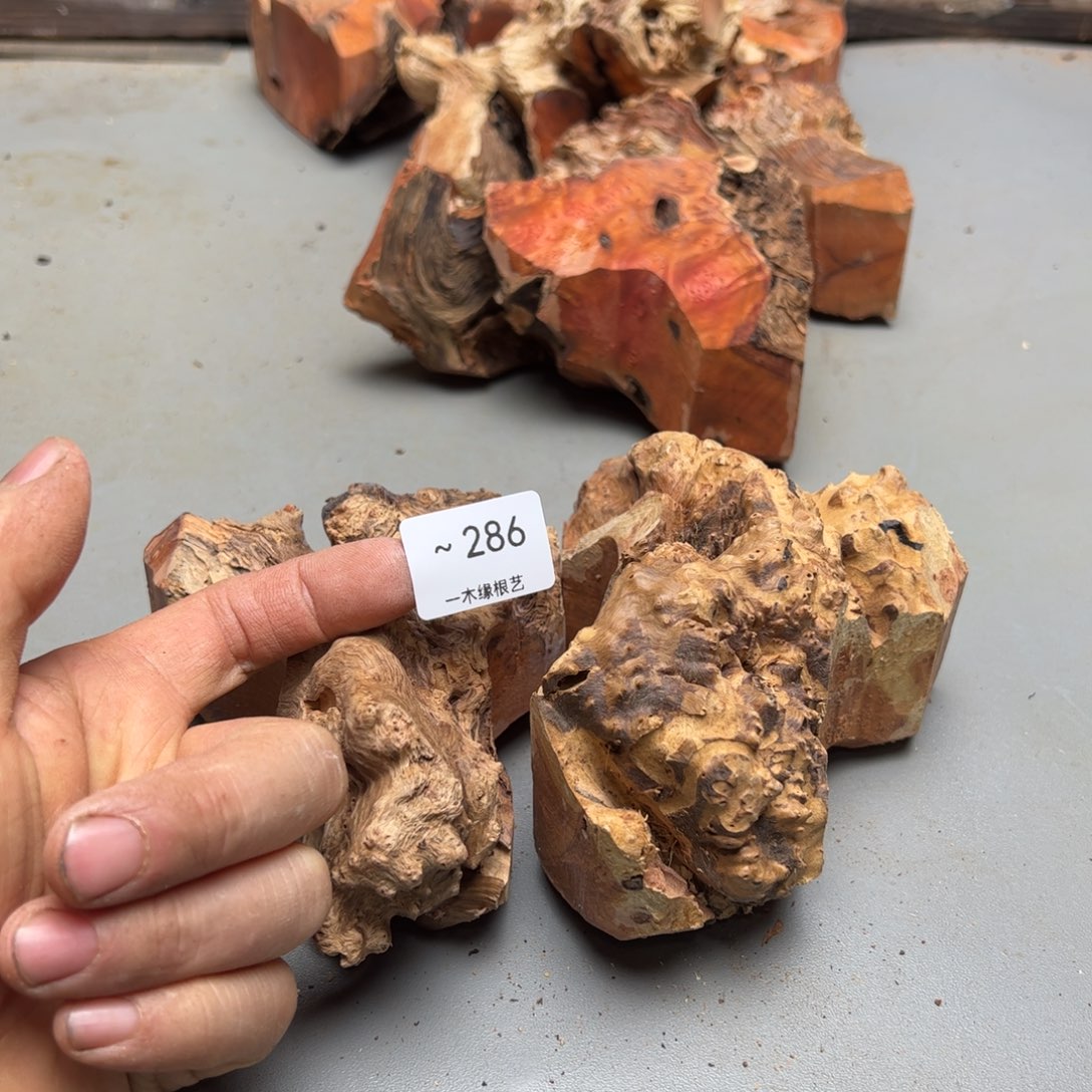 洪***公无花朵        286