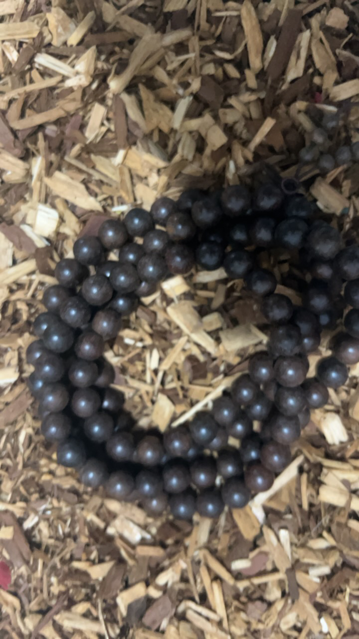 沉香18 福莱精选高端文玩10mm