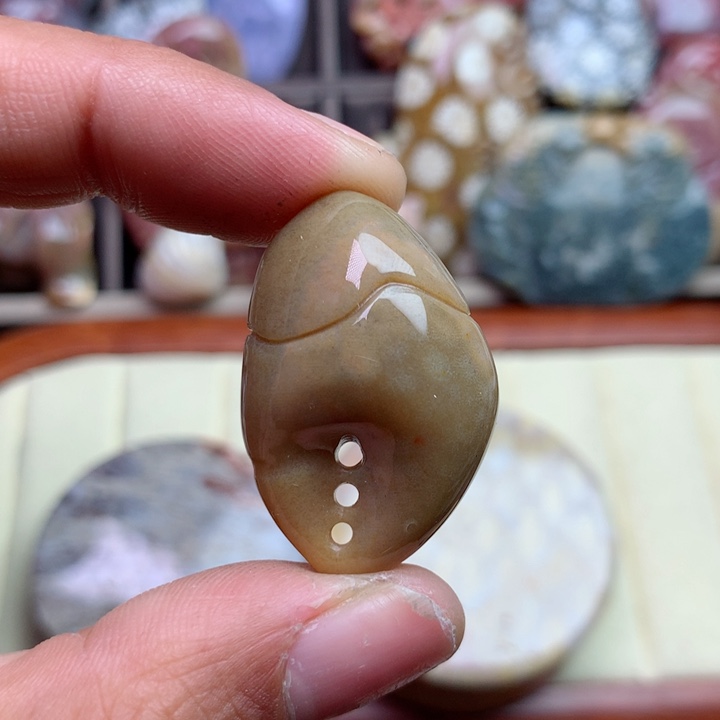 硅化珊瑚（珊瑚玉）颈饰未镶嵌