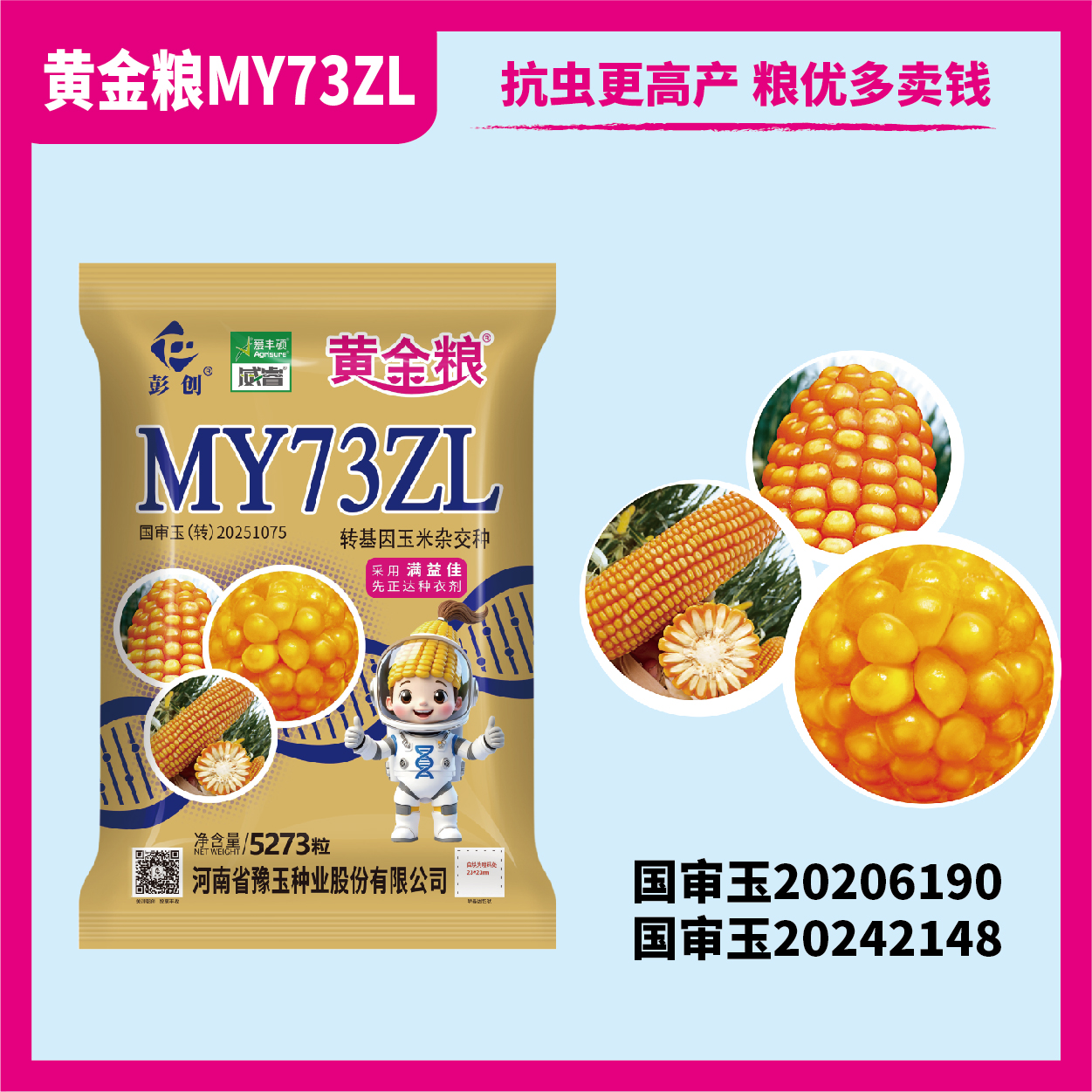 【转基因版】黄金粮MY73ZL抗虫耐草甘膦抗锈高产玉米种子抗病好种