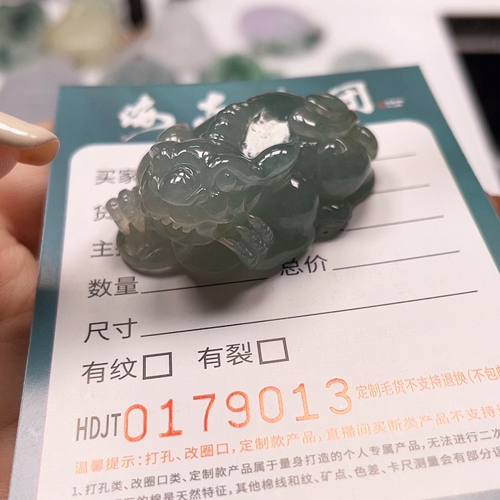 颈饰未镶嵌翡翠HDJT0179013