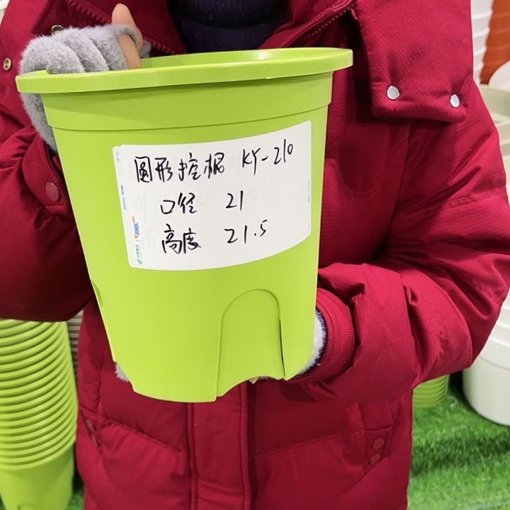 正品圆控口21高21果绿色带托8只