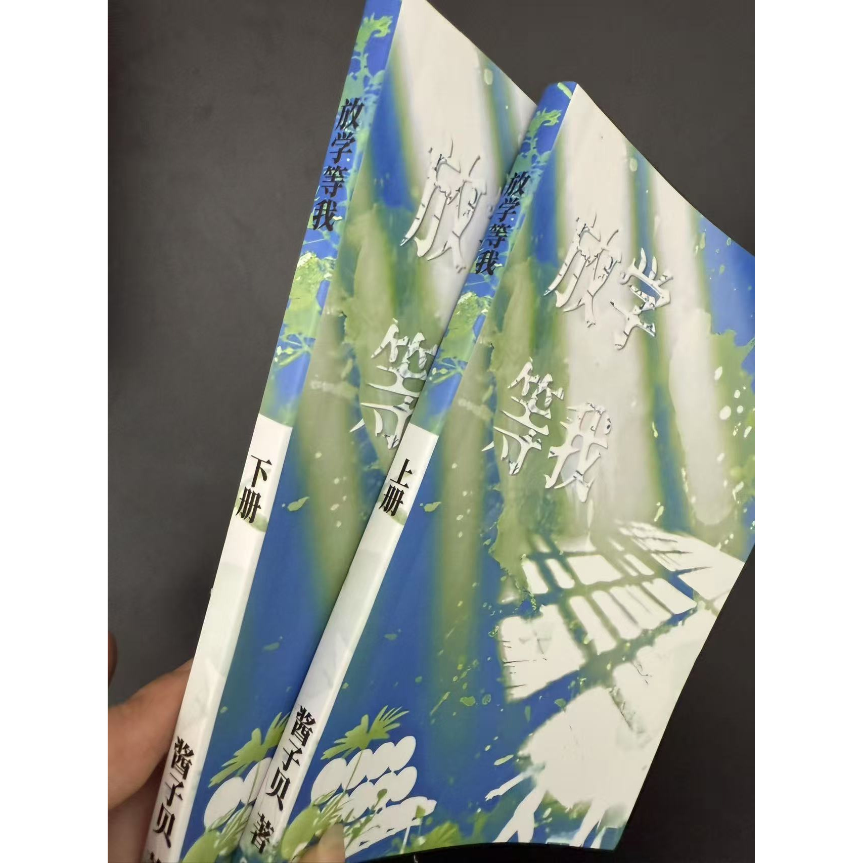 未删减放学等我完结2本补车 酱子贝小说放学等我晋江文学青春校园