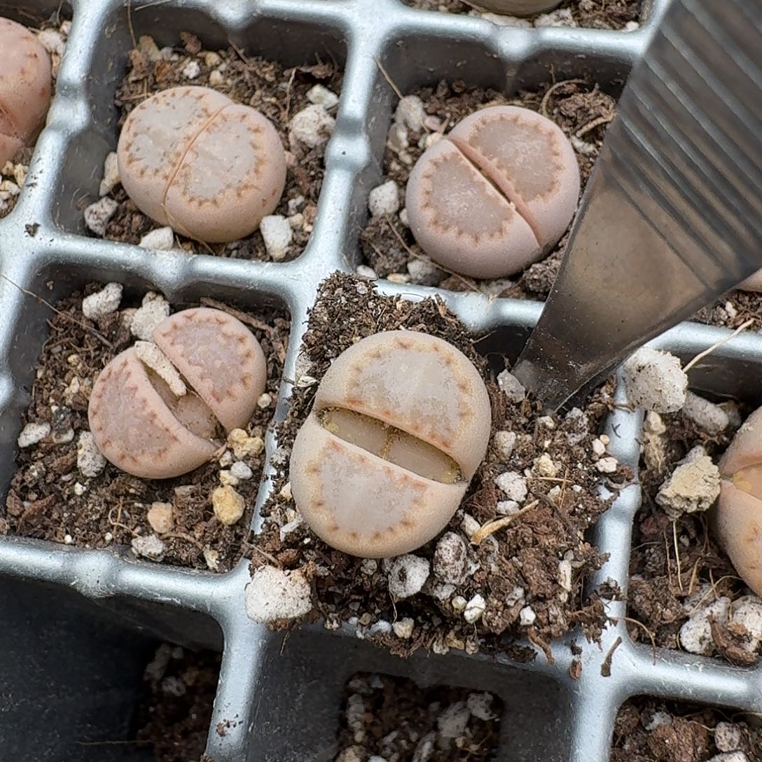 570 哈哈哈哈哈哈哈哈