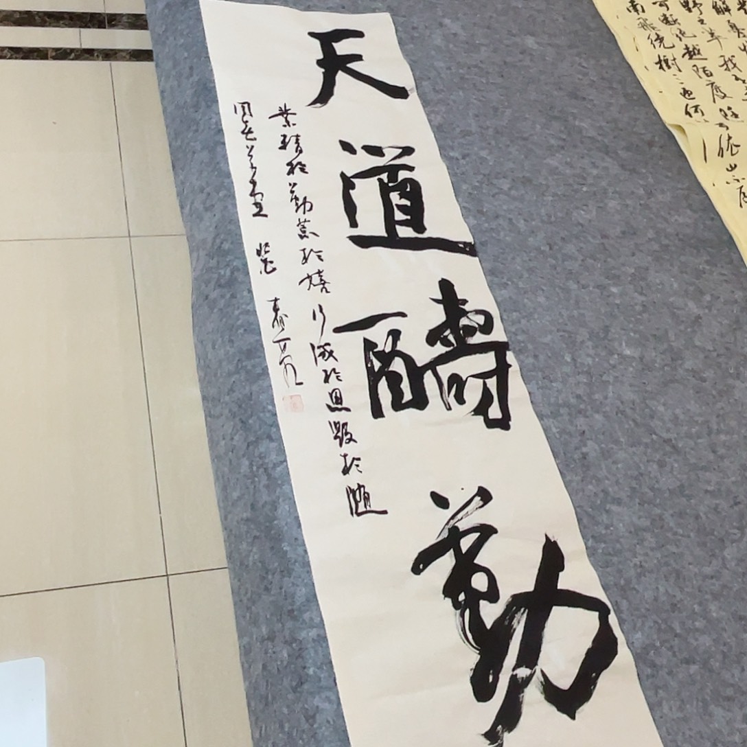 书法中书协会员裴春亮138+34