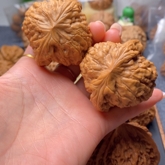 吊坠文玩核桃全品52龙鼎